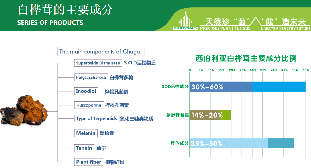 长期食用白桦茸：身体会发生哪些可感知的变化？