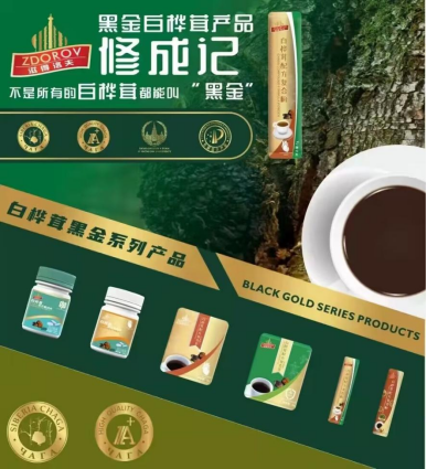 白桦茸 白桦茸