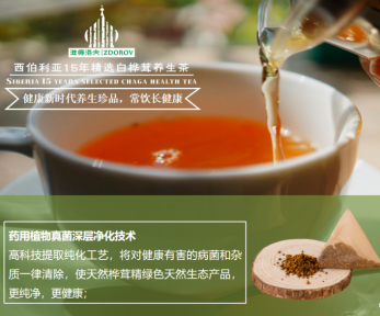 白桦茸养生茶