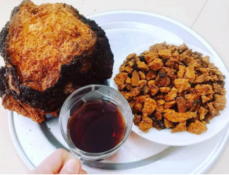 白桦茸茶 白桦茸茶