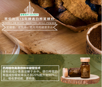 药用植物真菌微纳米破壁技术