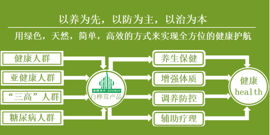 “预防优于治疗”：白桦茸如何契合现代健康管理理念