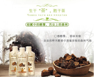 ‌运动表现新提升：白桦茸如何解构健身困局