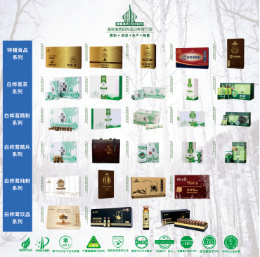 白桦茸系列产品