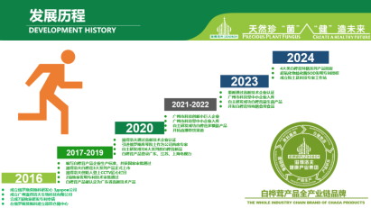 白桦茸发展历程