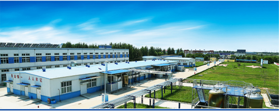 山东鲁华海洋生物科技有限公司 山东鲁华海洋生物科技有限公司