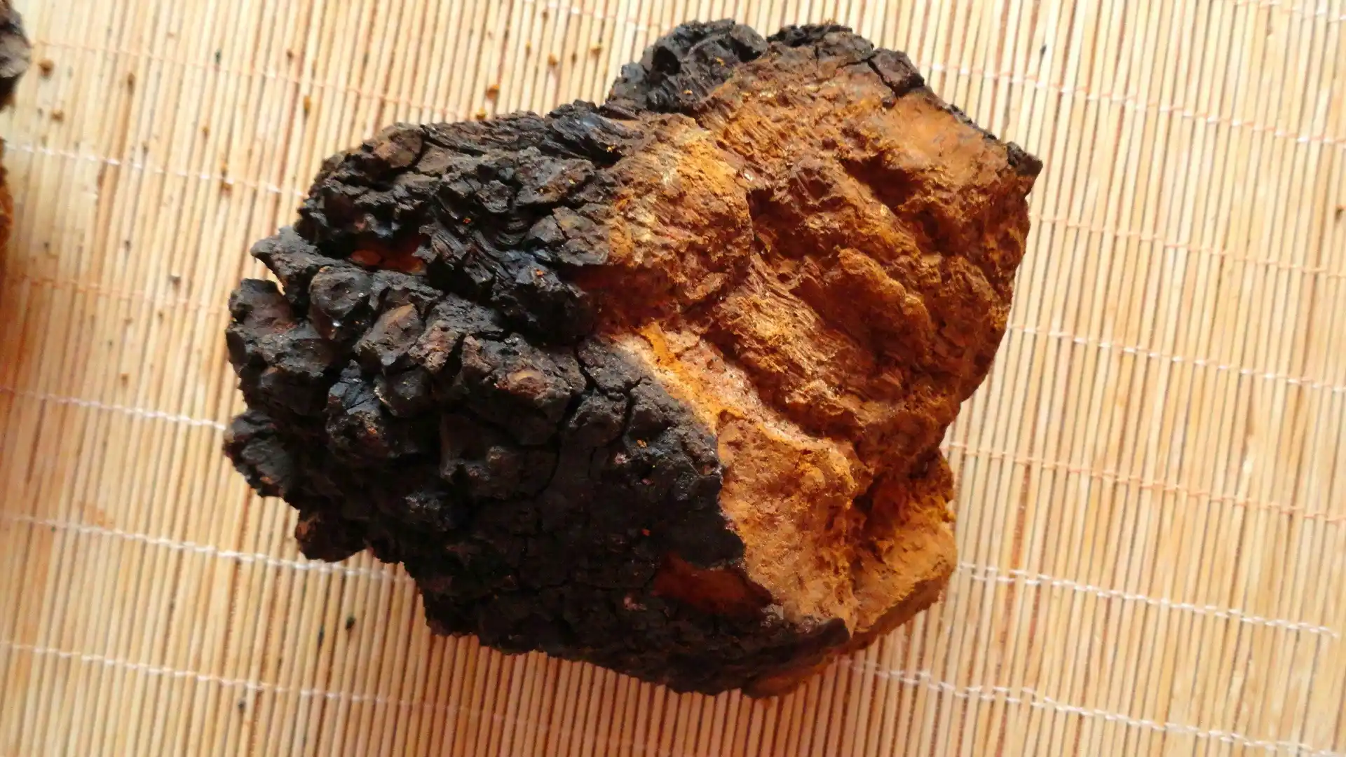 关注健康养生？不妨了解一下桦树茸的潜在价值